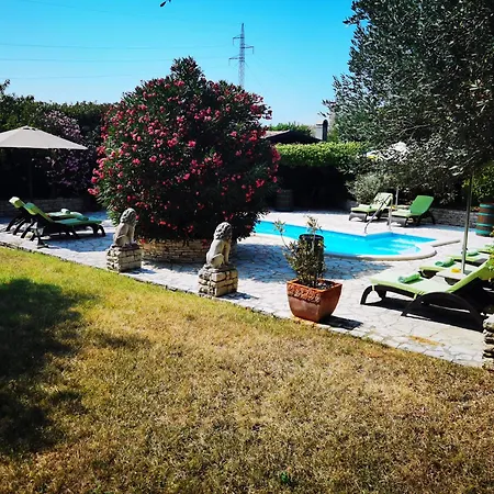 Alexander * Буйе