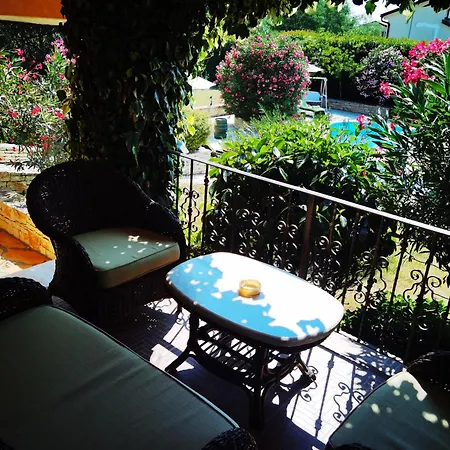 Alexander * Буйе